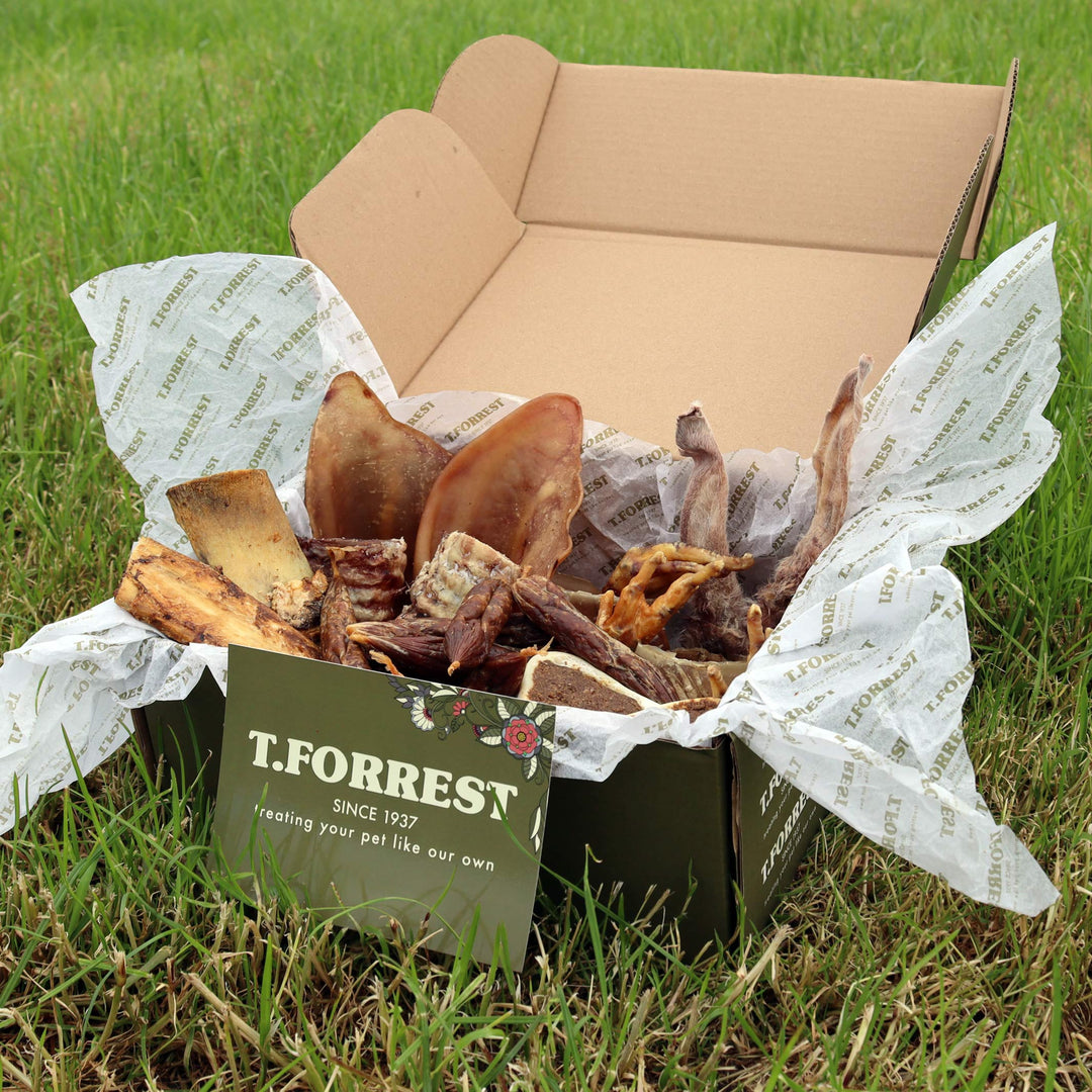 natural dog treat boxes