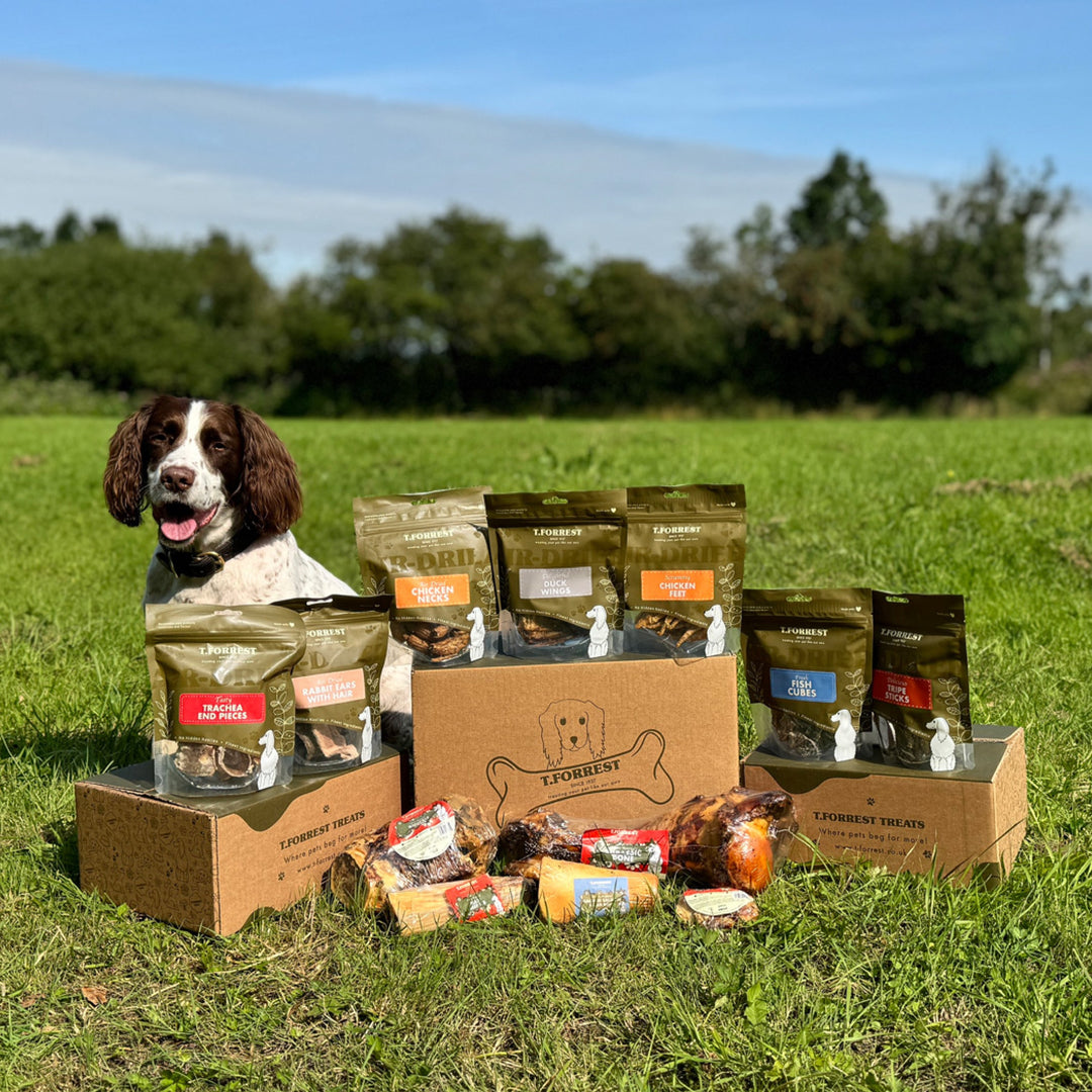 all natural dog treats