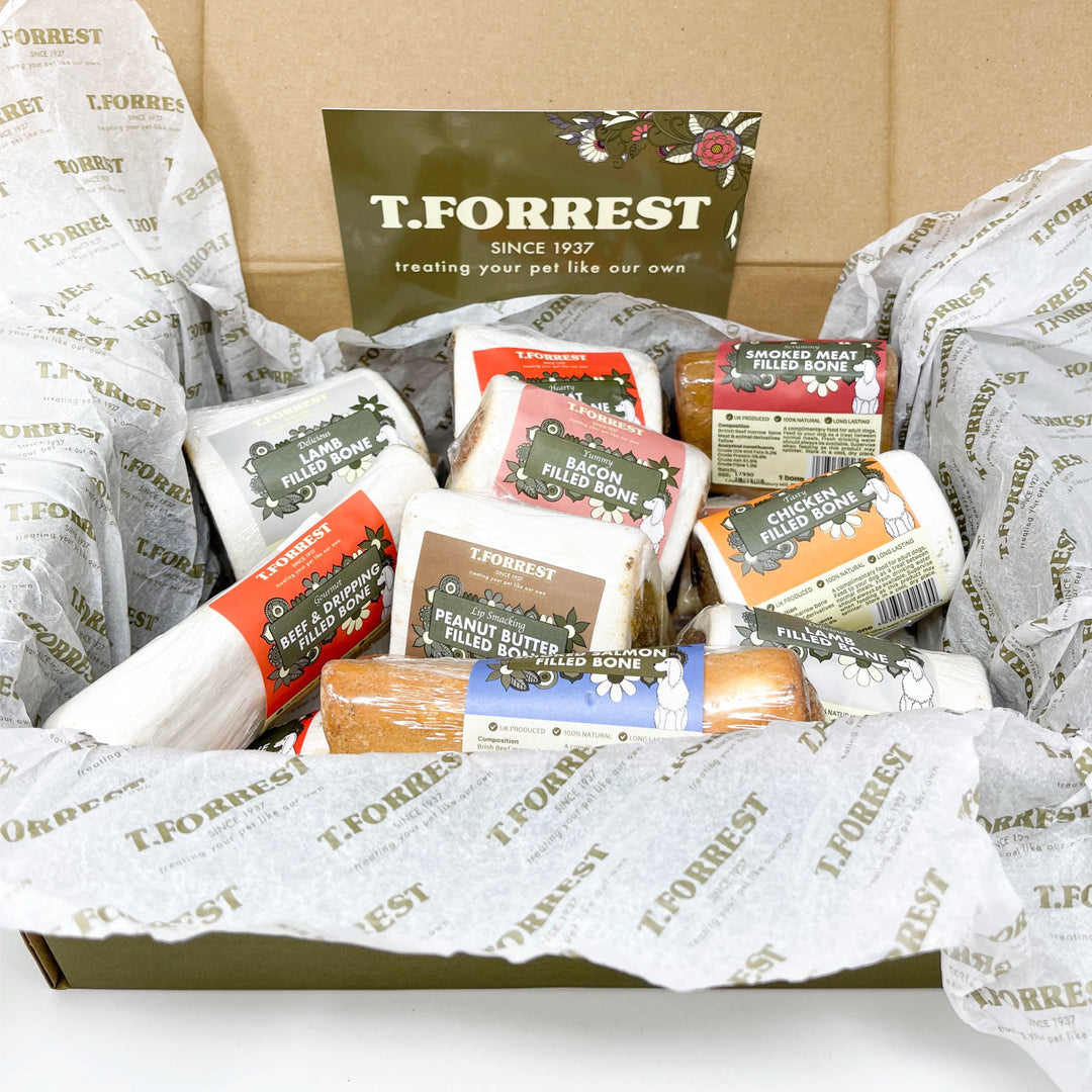 dog treat subscription box