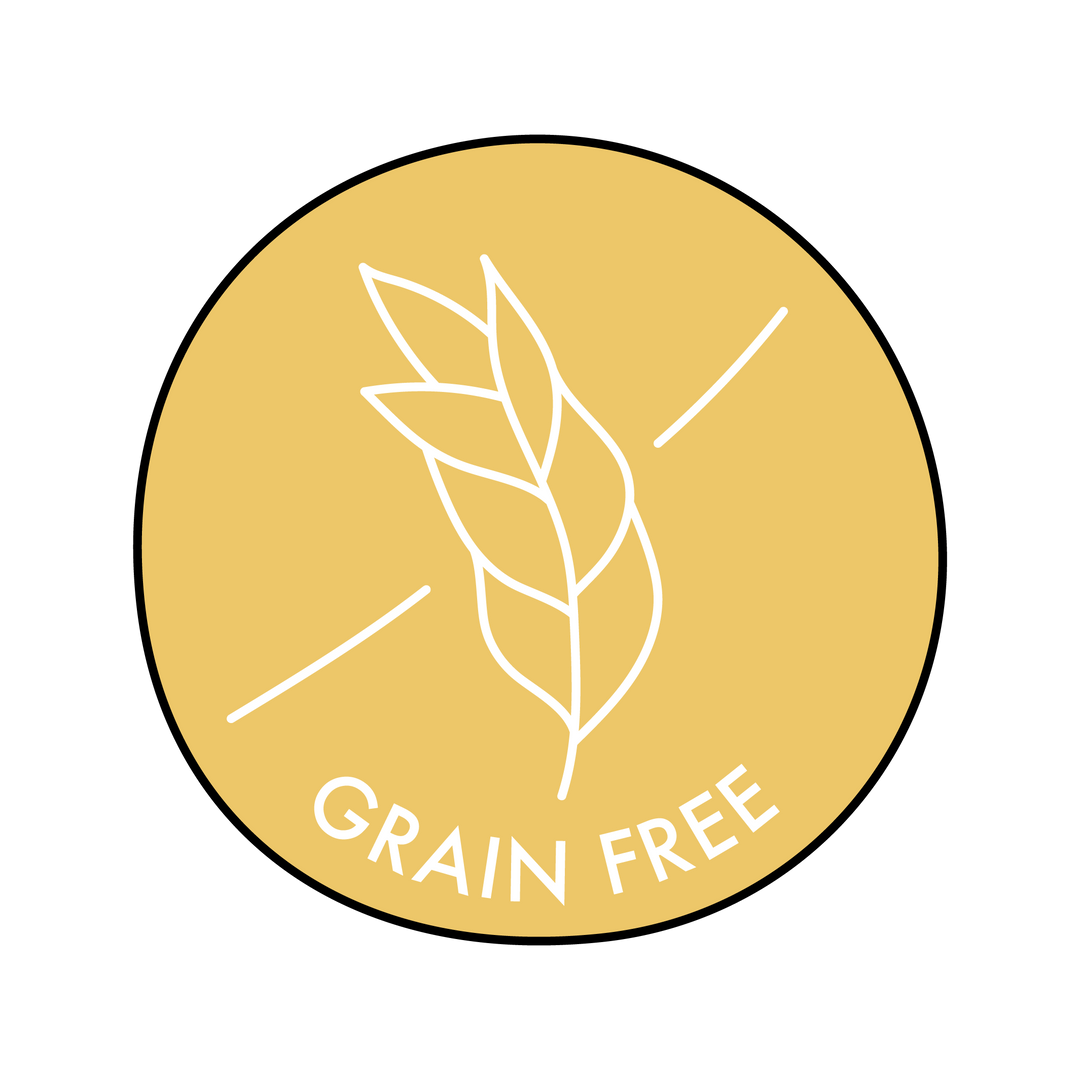 grain free dog treats