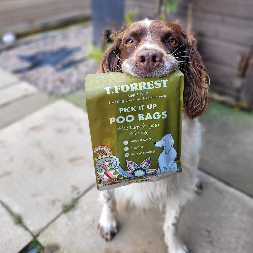 poo bags for dogs