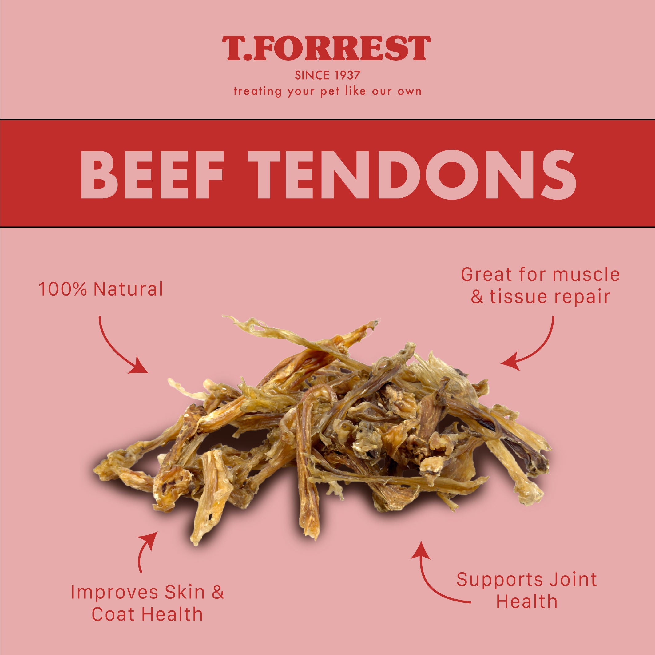 Benefits of Beef Tendon Dog Treats