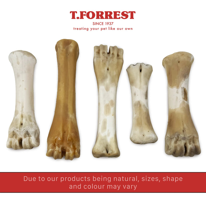 Calcium shank bone size variation