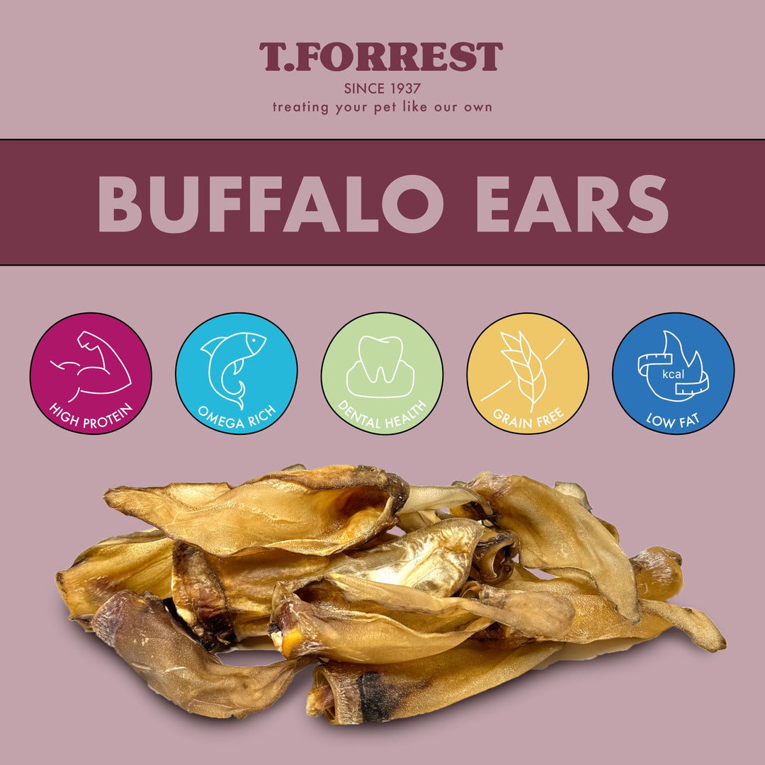 Health Benefits of Buffalo Ears For Dogs