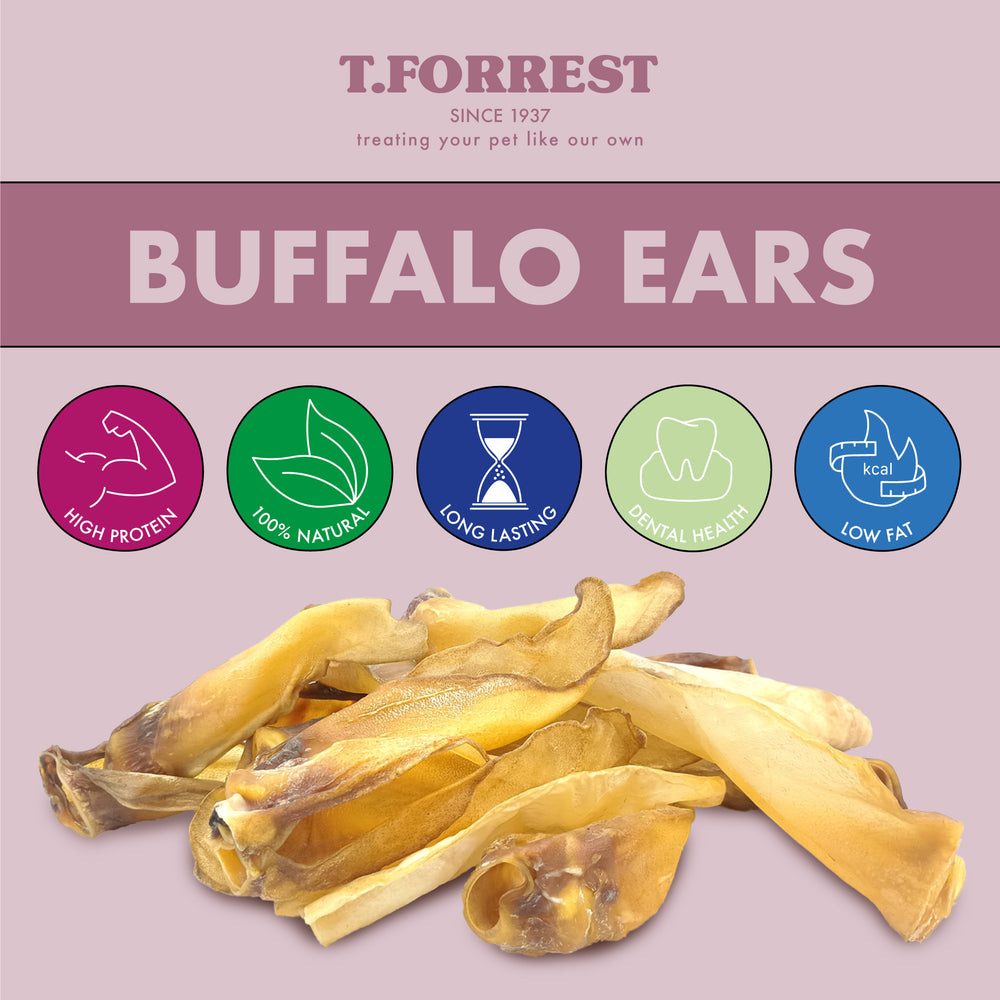 Health Benefits of Buffalo ears