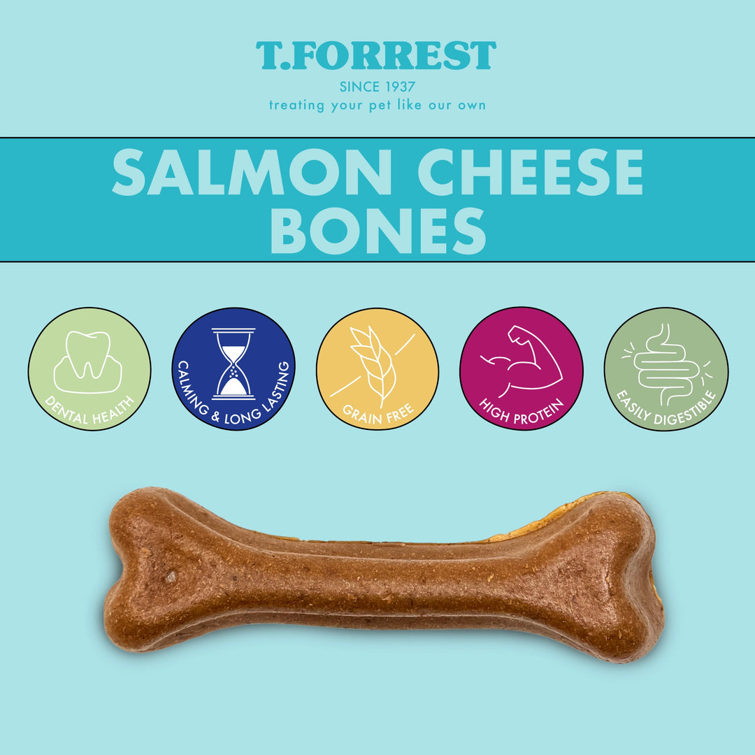 Health benefits of salmon cheese bones for dogs