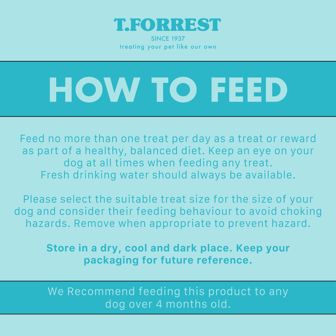 How to feed salmon cheese bone dog treats