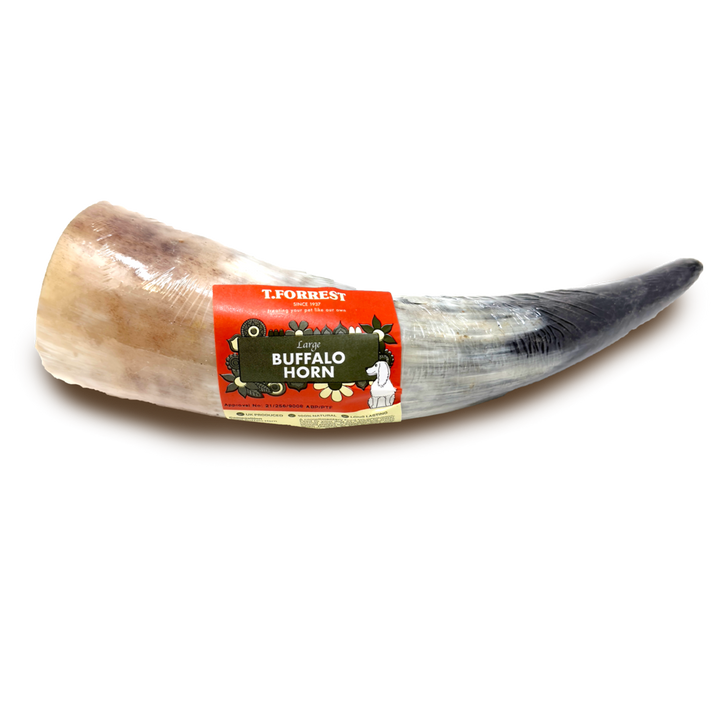 Large Buffalo Horn Dog Treat