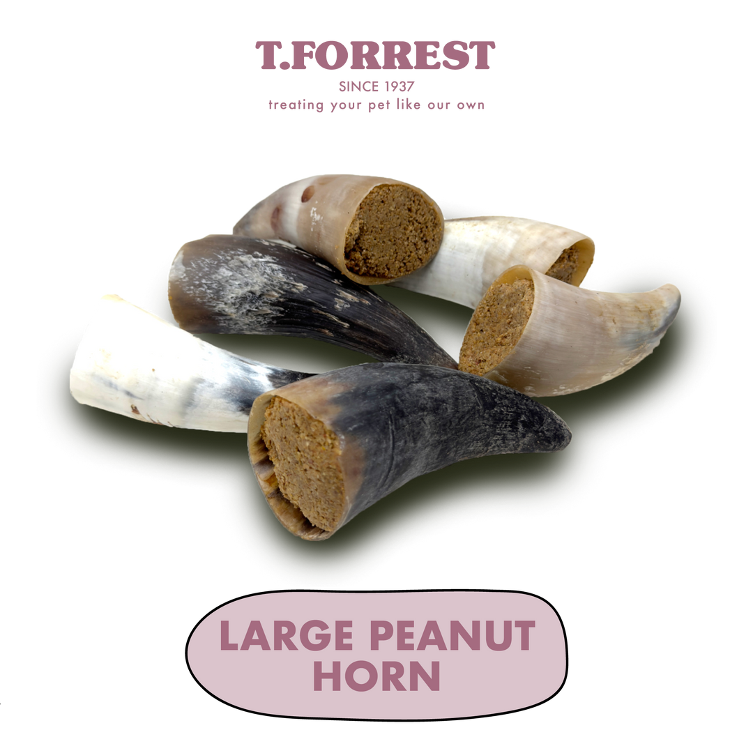 Large Peanut Filled Buffalo Horns