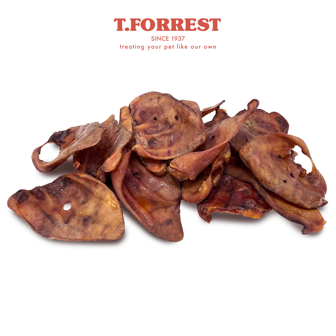 Pigs Ears Bulk