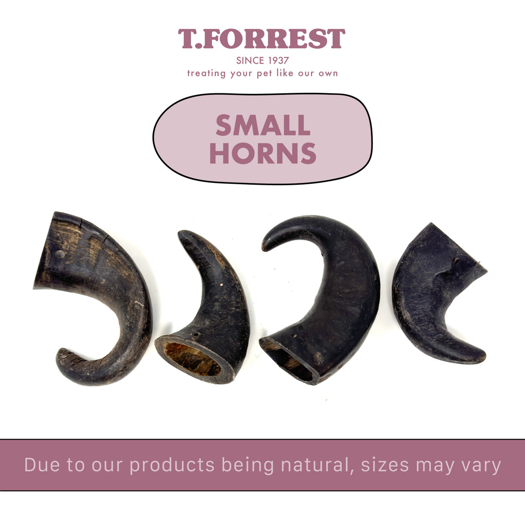 Small Buffalo Horn Sizes