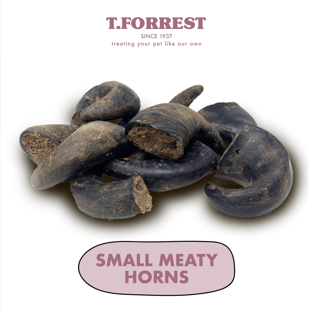 Small Meaty Buffalo Horns