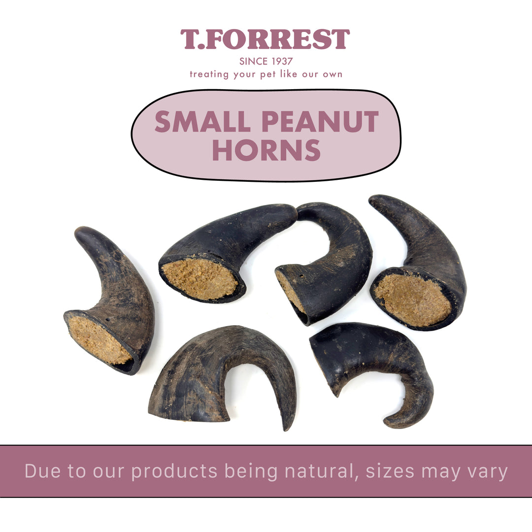 Small Peanut Buffalo Horn Sizes