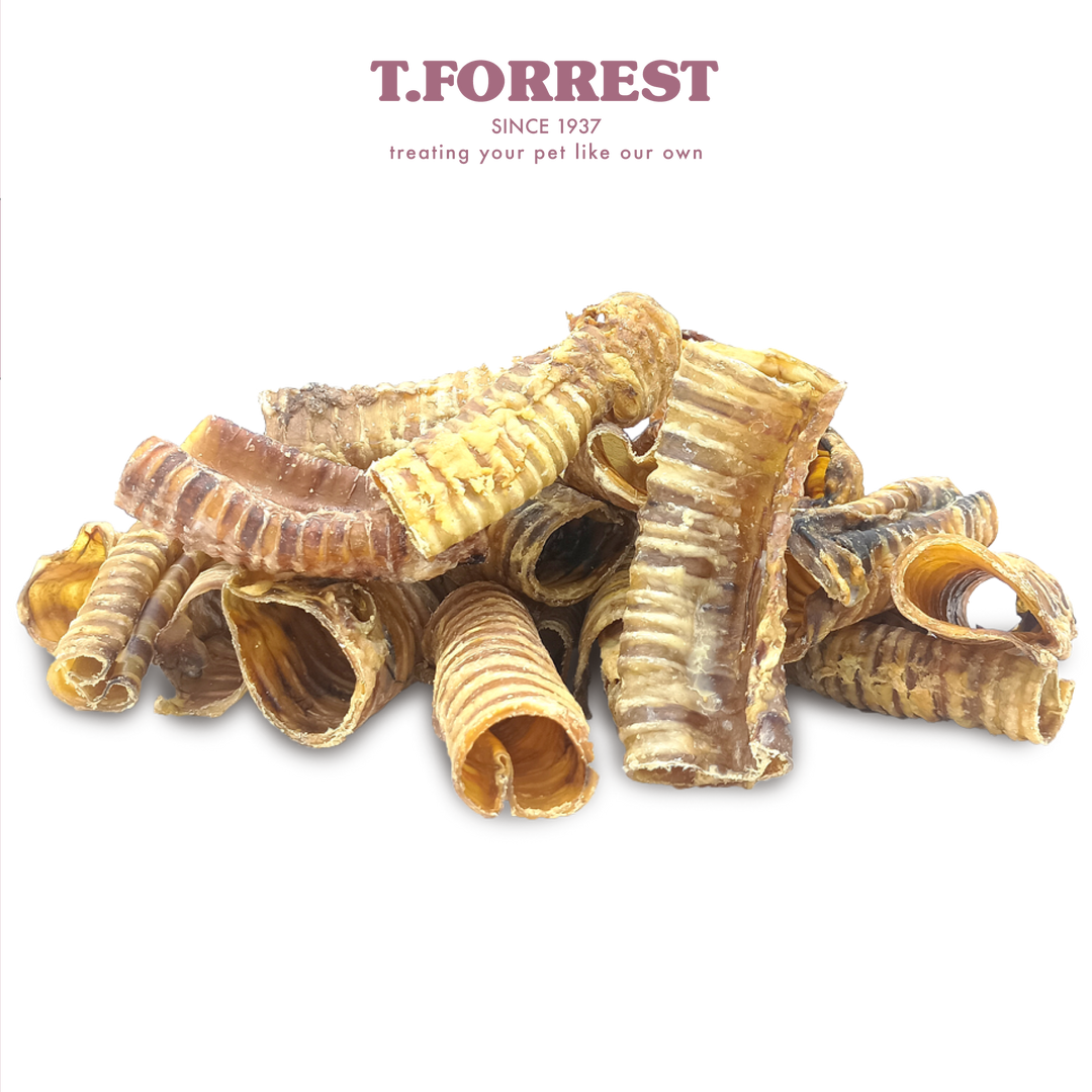 T Forrest Buffalo Trachea bulk