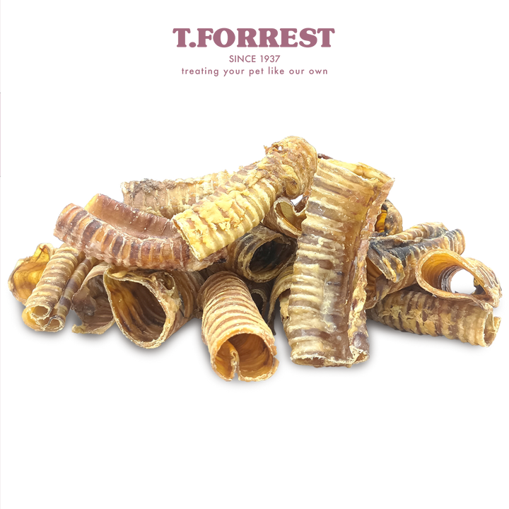 T Forrest Buffalo Trachea bulk