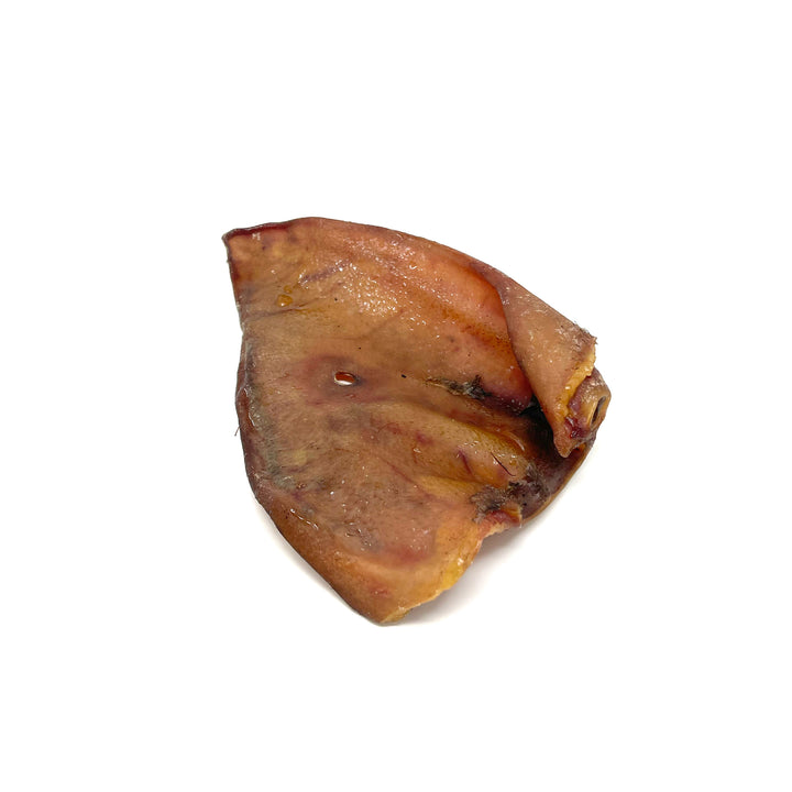 single pig ear for dog