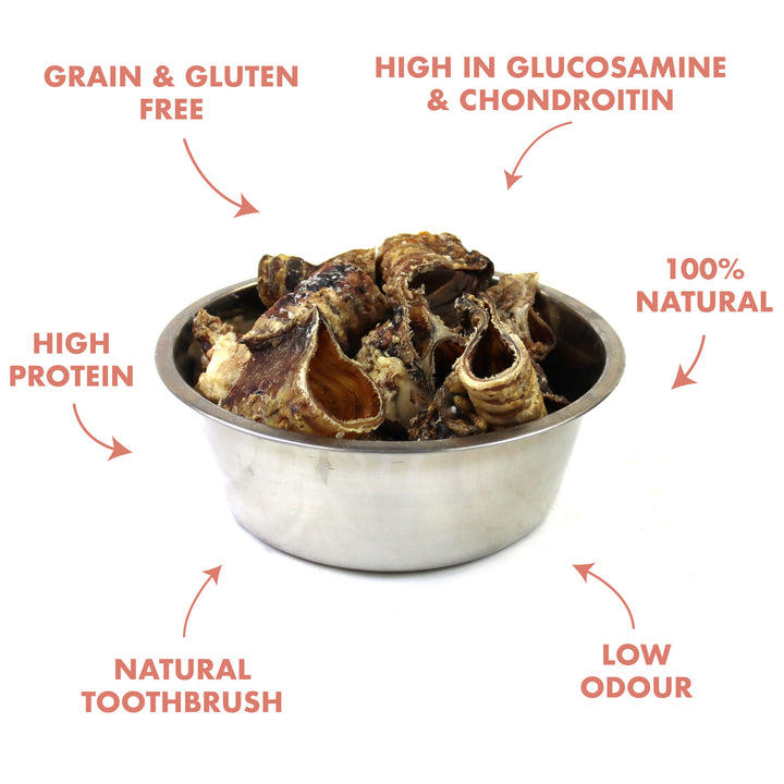 benefits of trachea for dogs