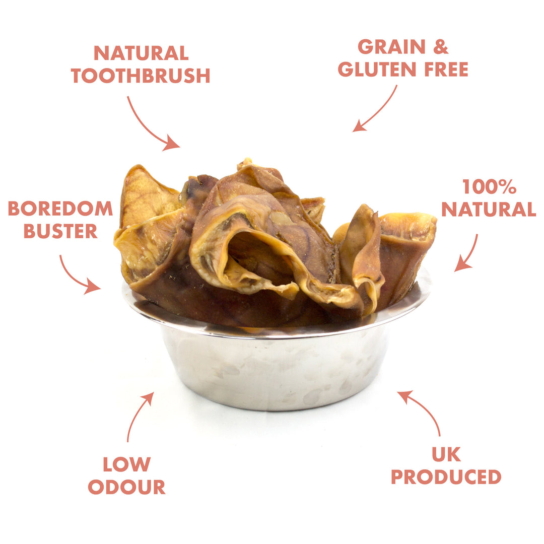 benefits of feeding pigs ears