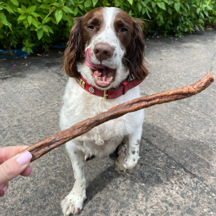 jumbo chicken sausages for dogs