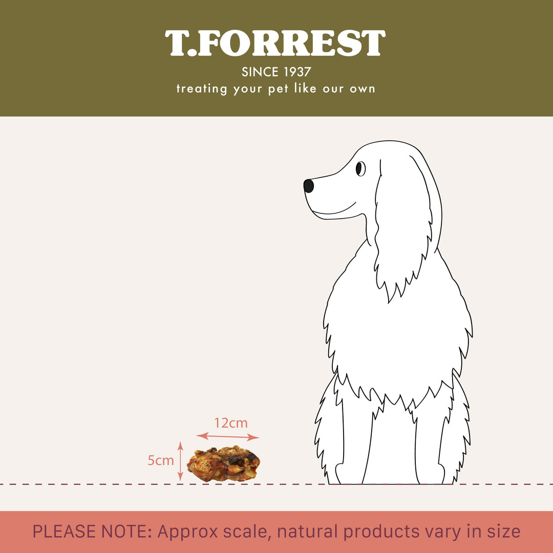 t forrest mini roast bone scale