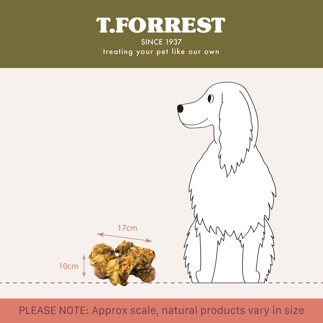 t forrest roast knuckle bones scale